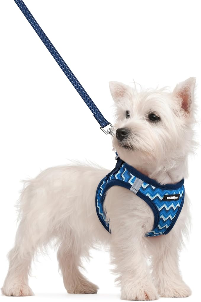 rabbitgoo Dog Harness Small Sized and Leash Set, Step in Soft Light Puppy Vest, Breathable Mesh Pet Harness, Reflective for Safe Easy Walking, Blue Zigzag S