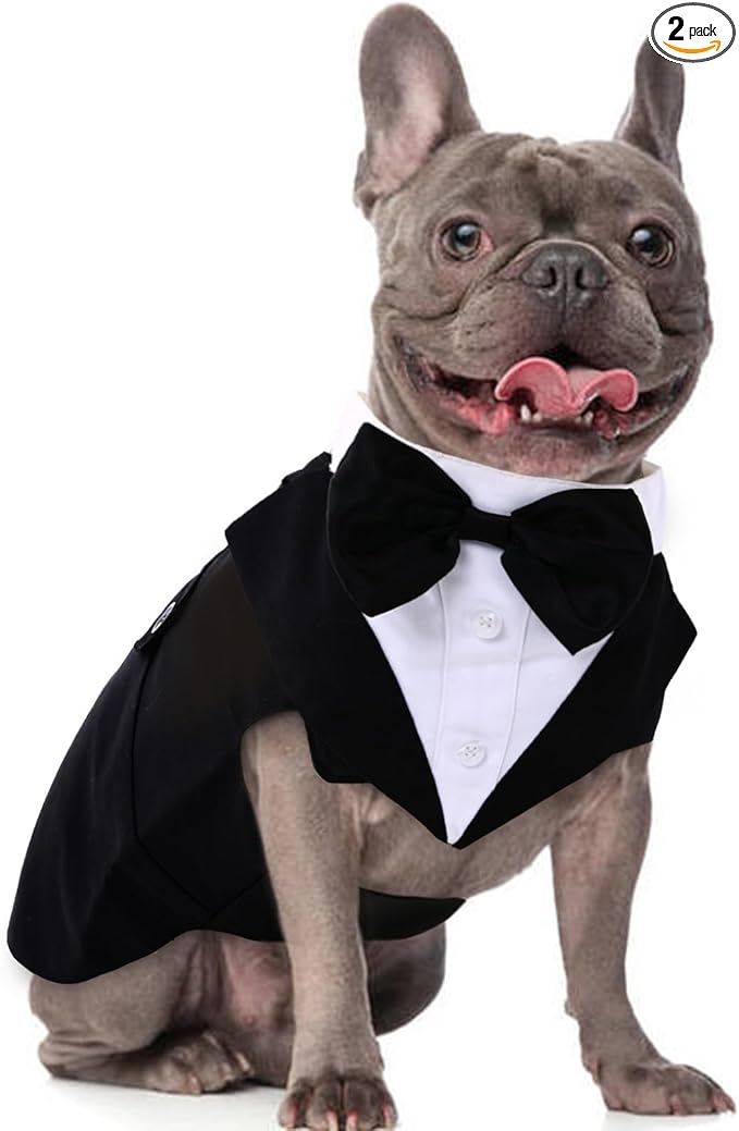 DORA BRIDAL Dog Tuxedo for Medium Dogs, Dog Suit and Bowtie, Formal Dogs Wedding Outfit, Pet Tuxedo and Bandana Set Valentines Birthday Costumes for French Bulldog, Pomeranian, Dachshund, Black, M