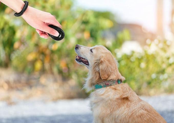 Pet Training Clicker with Wrist Strap Dog Training Clicker Set Clicker Training Tools for Dog, Cat, Bird, Horse, etc (4 Color)