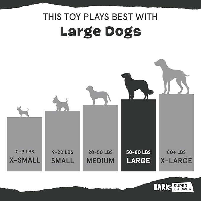 Barkbox Super Chewer Tough Dog Chew Toys for Aggressive Chewers, Treat Dispensing (Carrot - Small)