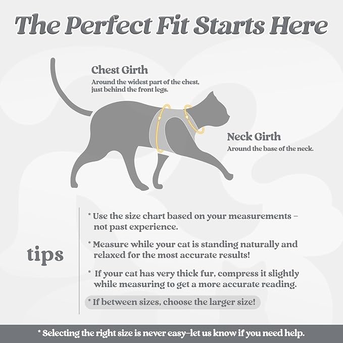 rabbitgoo Cat Harness and Leash, Step-in Escape Proof Kitten Harness Set, Soft Comfortable Cat Vest, Easy to Wear and Adjust, Reflective for Safe Outdoor Walking, Grey, Medium