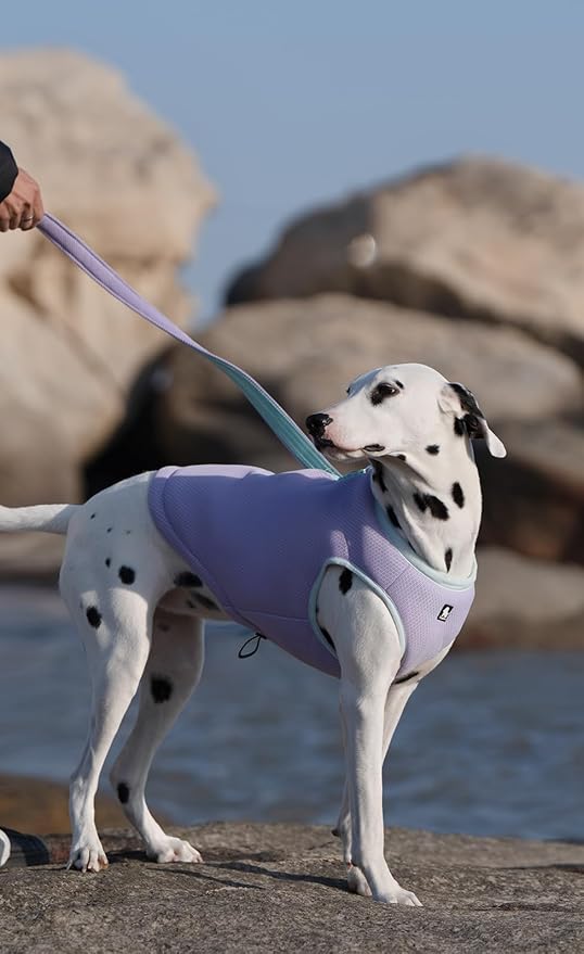 JUXZH Truelove Dog Cooling Vest Harness Cooler Jacket with Adjustable Zipper for Outdoor Hunting Training and Camping