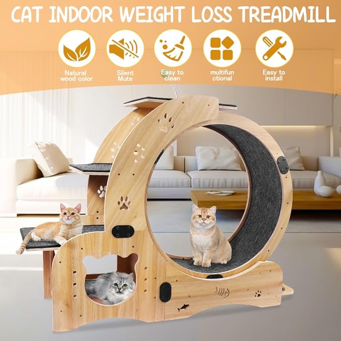 Cat Exercise Wheel for Indoor Cat Treadmill Running Wheel Toy with Non-Slip Base, 6-in-1 Multi-Functional Large