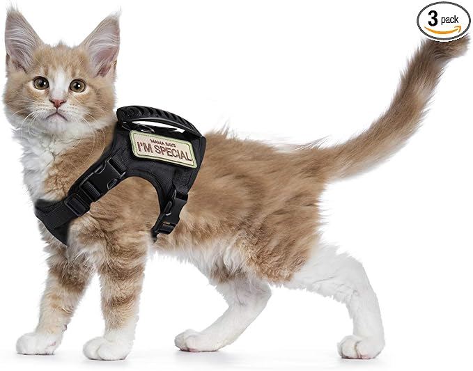 Tactical Cat Harness for Walking Escape Proof, Soft Mesh Adjustable Pet Vest Harness for Large Cat,Small Dog