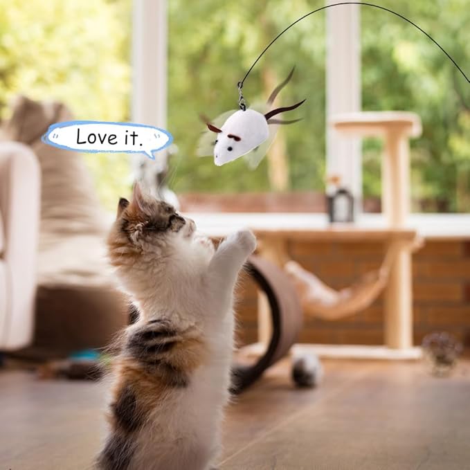 PAZ'S GIFT Cat Toys Plush Catnip Toys Cat Kick Toys Cleans Teeth Eliminates Bad Breath Adorable Kitten Teething Toys Indoor Interactive Companion Toys