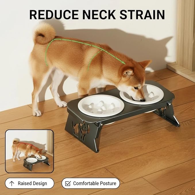 Elevated Ceramic Slow Feeder Bowls, 2 Bowls & Black Stainless Steel Stand,for Cats and Small Medium Dogs, 1.5 Cups*2,Raised Cat Food and Water Bowl Set, Blue & White