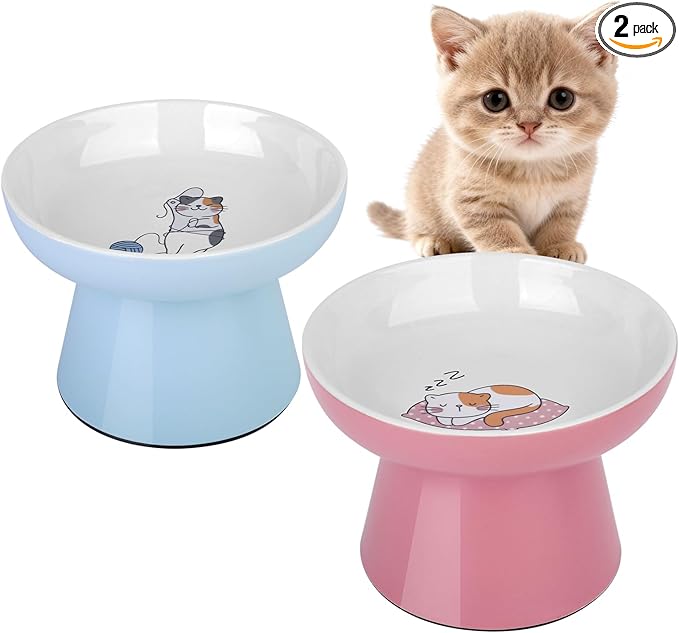 Elevated Cat Food Bowls 2 Pack,Ceramic Raised Cat Bowls with Non-Slip Base,Whisker Friendly Shallow Design for Dry & Wet Food,Anti-Vomiting Cat Feeder,Dishwasher & Microwave Safe (Pink&Blue)
