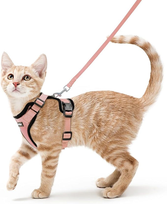 rabbitgoo Cat Harness and Leash Set, Escape Proof Kitten Harness for Safe Outdoor Walks, Soft Breathable Adjustable Vest with Reflective Strips for Kittens and Small Cats, Light Salmon Pink, XS