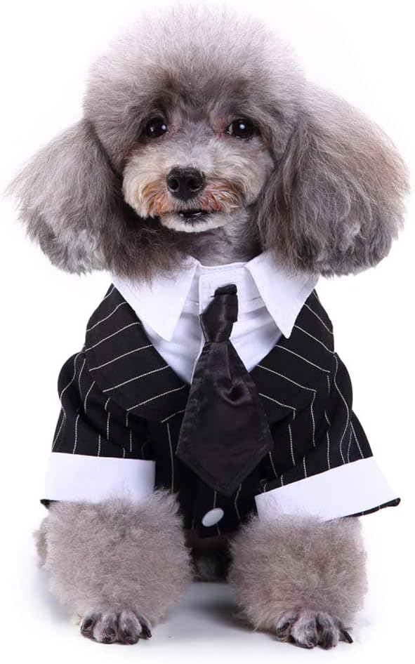 GabeFish Pets Wedding Jackets Suit for Dogs with Bow Tie Puppy Cat Formal Clothes Shirt Tuxedo (Striped, M (Chest 15.3in/39cm)
