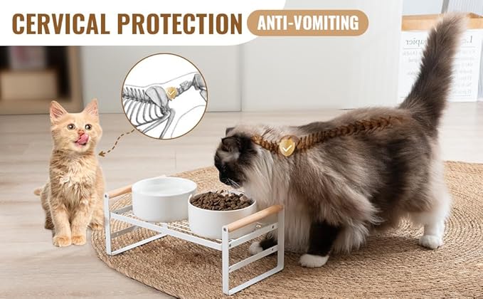 CEEFU Upgraded Elevated Cat Bowls, Adjustable Raised Cat Dishes Stand with 2 Ceramic Bowls for Cats and Dogs, 20 oz Each