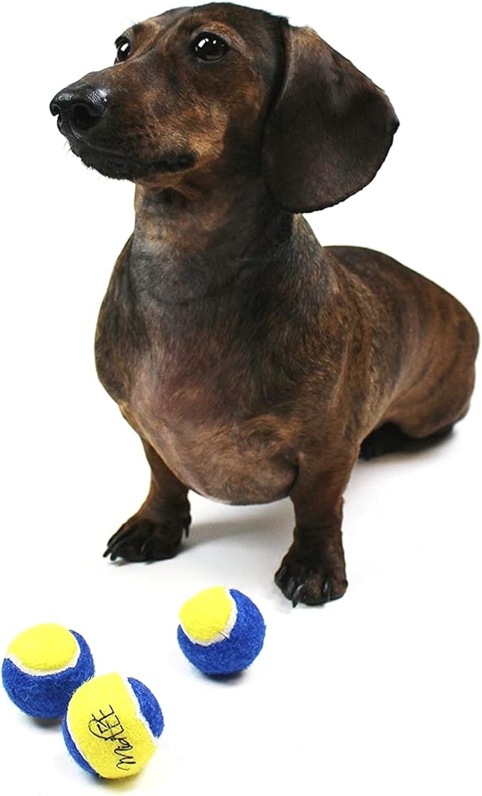 Midlee X-Small Dog Tennis Balls 1.5" Pack of 12 (Blue/Yellow, 1.5 inch)
