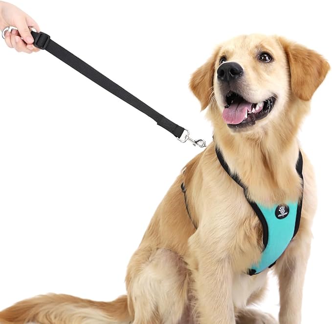 VavoPaw Dog Seat Belt, Safety Vest Dog Car Harness with Adjustable Buckle Dog Seat Belt for Vehicle Nylon Pet Safety Seat Belts Heavy Duty(L, Blue)