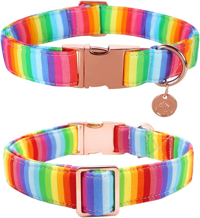 DOGWONG Rainbow Dog Collar with Pretty Bow Tie for LGBT Pride Month - Adjustable and Comfortable Collar for Large Medium Small Dog,M
