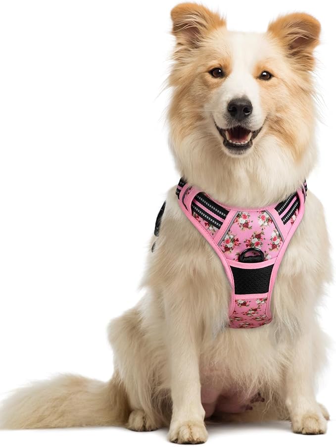 rabbitgoo Dog Harness No Pull with 2 Leash Clips, Adjustable Soft Padded, Reflective Oxford No Choke Pet Vest with Easy Control Handle for Medium Sized Dogs, Pink Rose, M