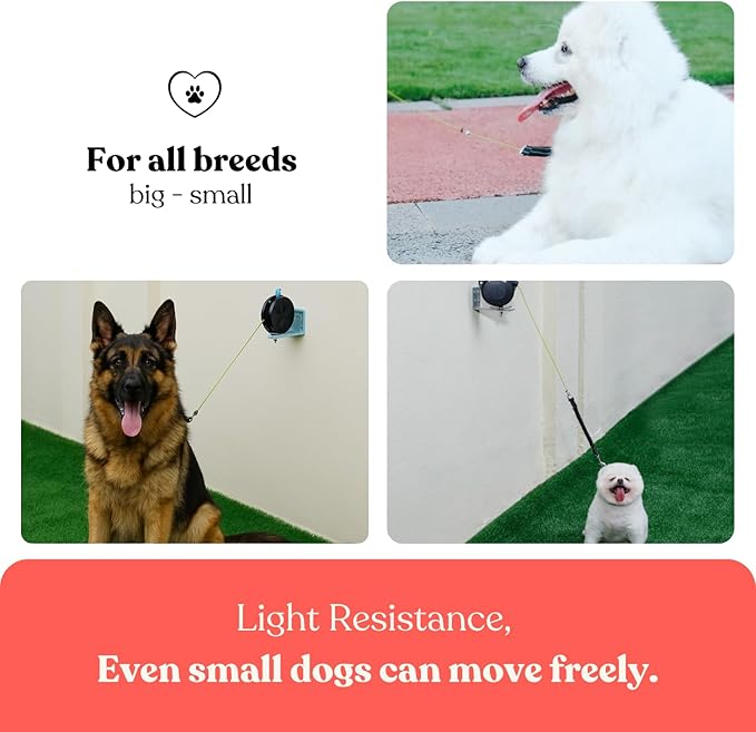 Heavy Duty Wall Mount Retractable Dog Tie out Cable for Small to Large Dogs-No Tangle Tie out Rope for Secure Yards/Garden-Heavy Duty Retractable Dog Leash-Ultimate Line for Outside Extends to 16.5 Ft