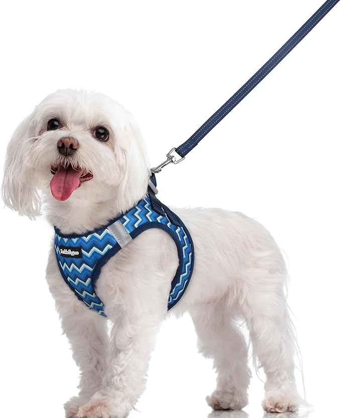 rabbitgoo Dog Harness Small Sized and Leash Set, Step in Soft Light Puppy Vest, Breathable Mesh Pet Harness, Reflective for Safe Easy Walking, Blue Zigzag M