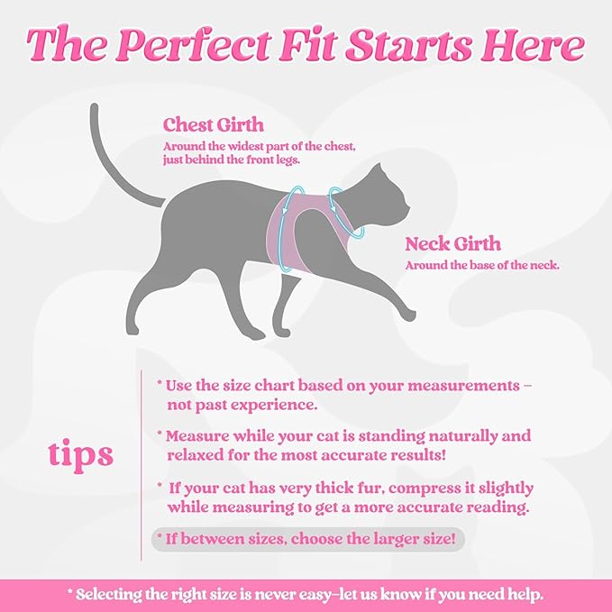 rabbitgoo Cat Harness and Leash, Step-in Escape Proof Kitten Harness Set, Soft Comfortable Cat Vest, Easy to Wear and Adjust, Reflective for Safe Outdoor Walking, Pink, X-Large
