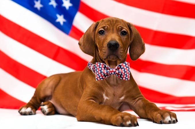 Lionet Paws Patriotic Dog Collar with Bowtie, 4th of July, Soft and Comfortable, Adjustable Collar for Large Dogs, Neck 16-24 inches