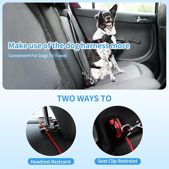 Dog Seat Belt Harness for Car,2pcs Dog Seatbelt of Coated Wire Leash Safety Restraint,No Chew Tether Cable Vehicle Dogs Accessories,Double Clips & Latch (Black, 32 inch/80 CM)