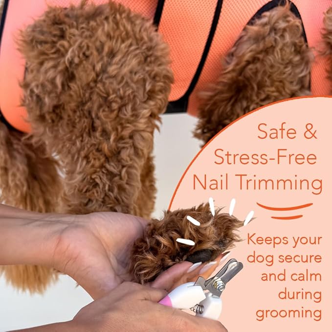 HamInWay PawsUp Pet Grooming Hammock Kit for Large Dogs, 4-in-1 Professional Grooming Sling for Nail Trimming, Includes Heavy Duty Clipper, Nail File, and Steel Comb – Orange