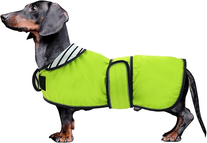 Dachshund Raincoat Corgi Raincoat Dogs Waterproof fit for Dachshunds Weiner Long Back Breeds with Reflective Stripe Great Coverage in Autumn Winter Light Green M