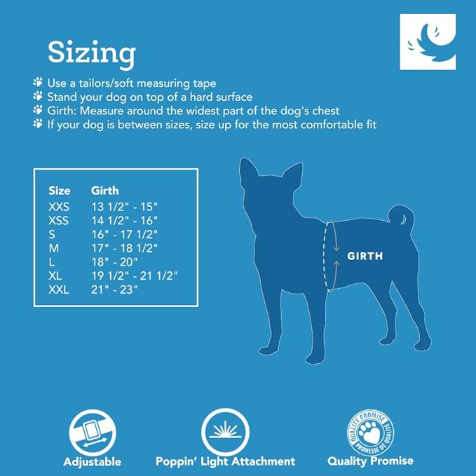RC Pet Products Step in Cirque Soft Walking Dog Harness, XX-Small, Black