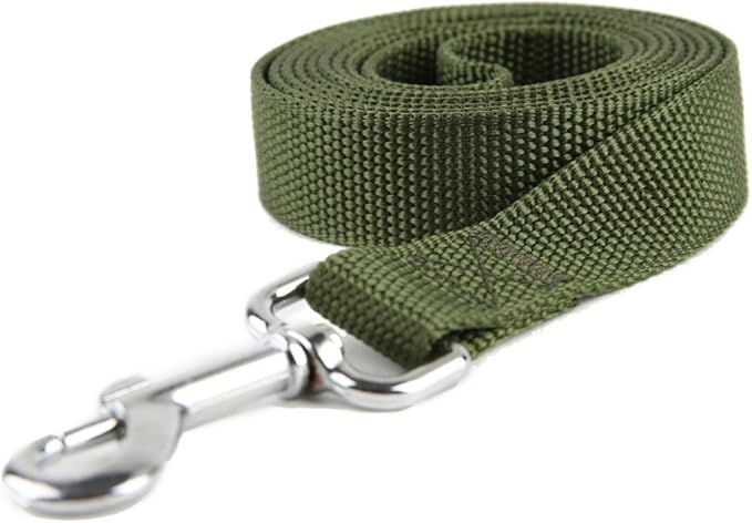 Nylon Dog Training Leash, Traction Rope, 4Ft /5 Foot /6 Feet Long, 5/8 inch 3/4 Inch 1 Inch Wide, for Small and Medium Dogs (3/4'' x 4 F, Green)