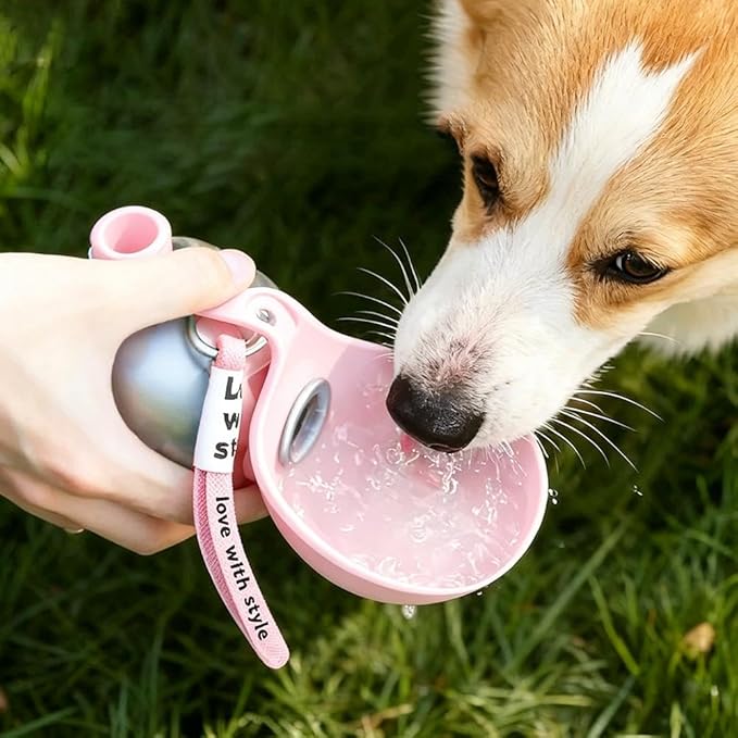 Foldable Pet Water Bottle for Travel,2-in-1 Portable Dog Water Bottle with Foldable Bowl,Leak-Proof 304 Stainless Steel Travel Hydration Station 10oz for Pets,Compact Feeder for Walking Camping Daily