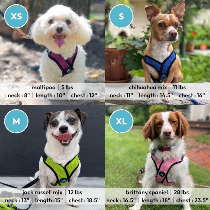 Gooby Comfort X Step in Lite Dog Harness - Choke Free, Escape Free with Light Breathable Mesh - Step in Dog Harness for Small Dogs Only - Quick Release Buckle, Metal D-Rings - Black, X-Large