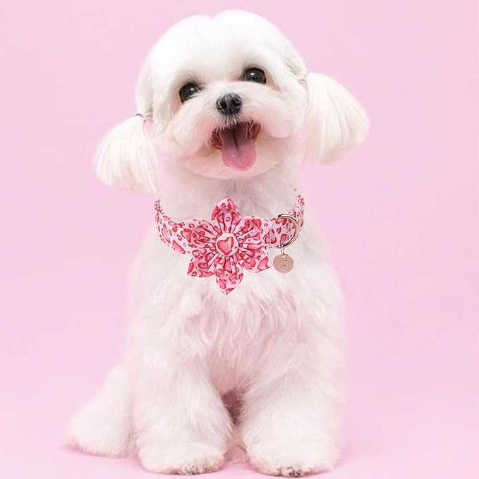 Valentine Dog Collar with Flower, Heart Flower Collar for Puppy Girl Boy Dog or Cat, Comfortable Dog Collar Flower with Durable Metal Buckle, Cute Pet Collar,XL, Neck 16-26in
