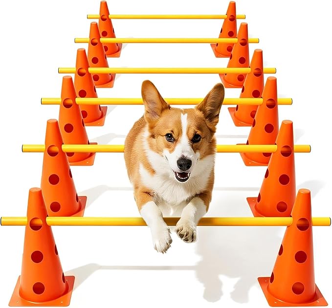 Dog Agility Course Backyard Set, Dog Agility Hurdle Cone Set with Height Adjustable Crossbar for Rehabilitation & Beginners, Dog Agility Equipment for Dog Obstacle Course - 12 Inch Orange