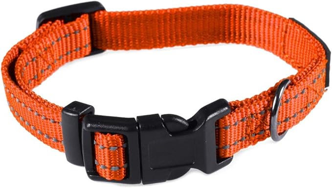Max and Neo Neo Nylon Buckle Reflective Dog Collar - We Donate a Collar to a Dog Rescue for Every Collar Sold (X-Small, Orange)