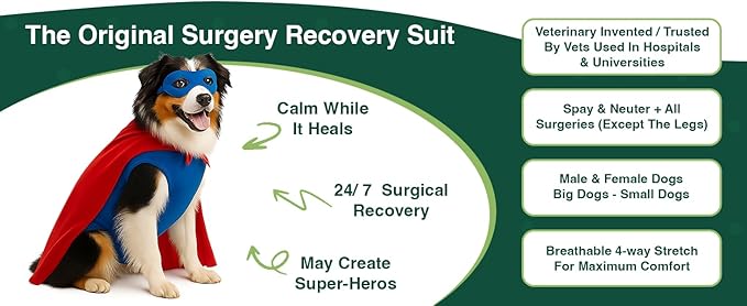 SurgiSnuggly Veterinary Invented Dog Surgical Recovery Suit for Female Spay or Male Dogs Neuters,Cone Alternative, Original Dog Onesie Bodysuit for After Surgery Small, Medium, Large Dogs PI M EC