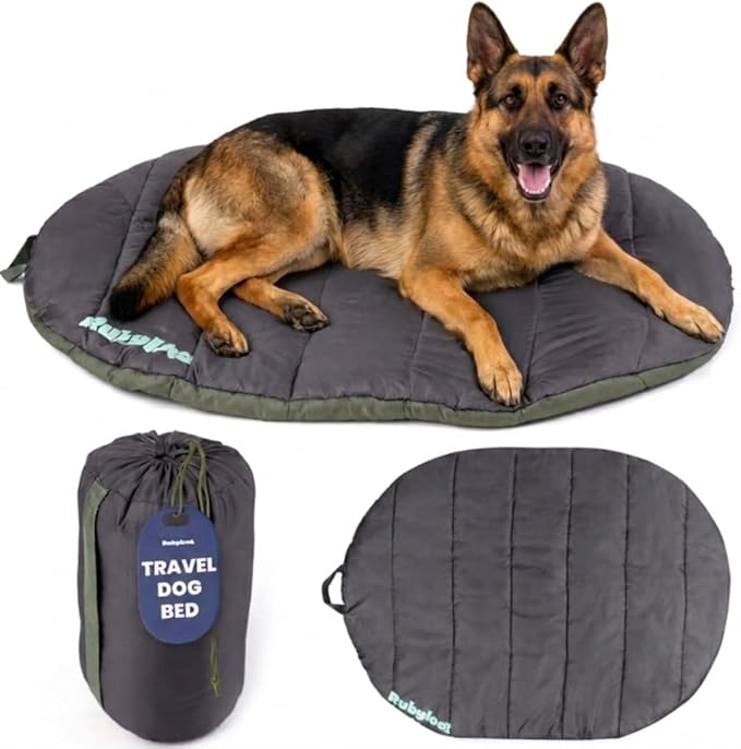 Travel Dog Bed (48" x 36") - Foldable & Packable for Travel, Road Trip, Camping– Lightweight, Water Resistant & Cozy with Soft Padding– Compact, Portable & Machine Washable – Large Breeds: Black