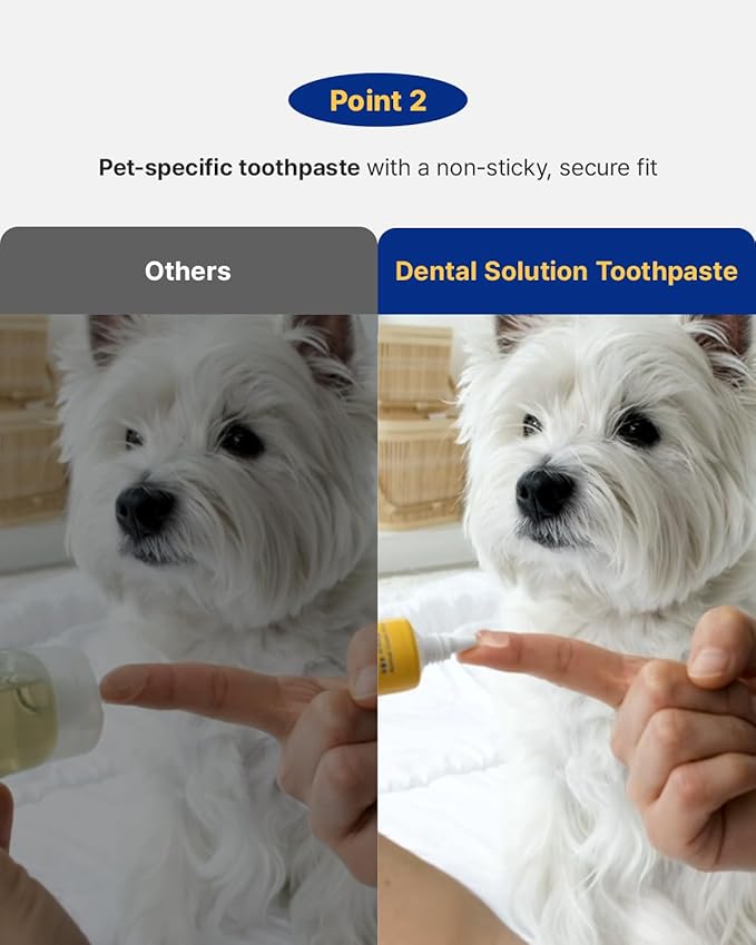 PETHROOM Pet Dental Solution Toothpaste for Dogs & Cats – Melon Flavor, Enzymatic Toothpaste for Fresh Breath & Plaque Control, Gentle Daily Dental Care, Net Wt 2.1 oz