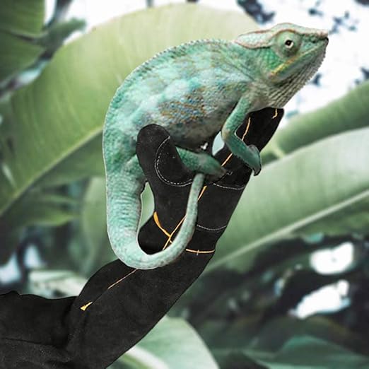 AOWPFVV Long Sleeve Thick Leather Animal Handling Glove Anti Scratch Protective Gloves for Training Dog Cat Bird Snake Parrot Lizard Wild Animals Reptiles,Bite Resistant Gloves(Large,23.6in)