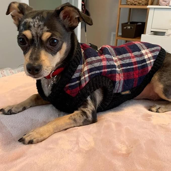 Gooby Fashion Vest Check Dog Jacket - White Check, Medium - Warm Zip Up Bomber Vest Dual D Ring Leash - Winter Water Resistant Sweater - Clothes for Small or Medium Dogs Dogs