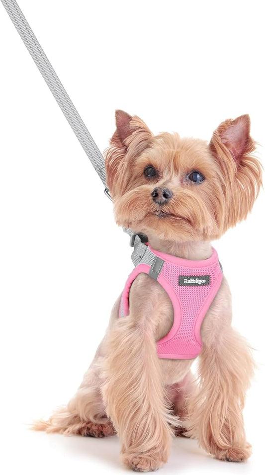 rabbitgoo Dog Harness Small Sized and Leash Set, Step in Soft Light Puppy Vest, Breathable Mesh Pet Harness, Reflective for Safe Easy Walking, Pink & Gray XXS