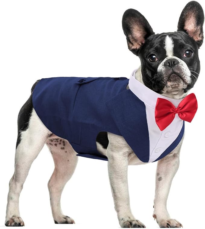 DORA BRIDAL Dog Tuxedo for Small Dogs,Dog Suit and Bowtie, Formal Dogs Wedding Outfit, Pet Tuxedo and Bandana Set Valentines Birthday Christmas Party Costumes for French Bulldog, Pomeranian, Blue,S