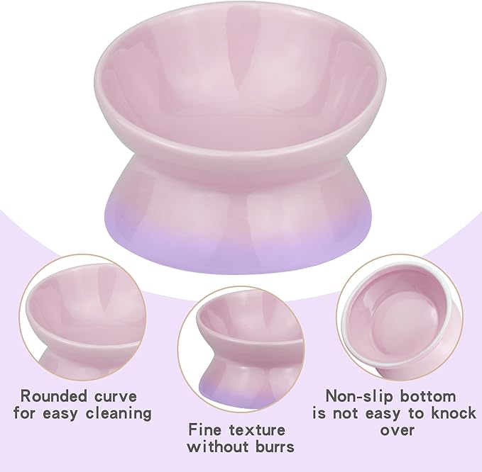 Cute Ceramic Tilted Food Bowls for Indoor Cats Cat Bowl Elevated Cat Bowls Whisker Friendly 6.1 Inch Wide 15° Raised Kitten Supplies Dishwasher and Microwave Safe Purple Cats Water Bowl