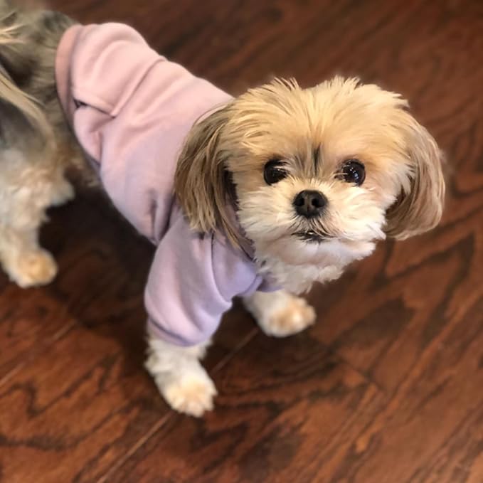 Jecikelon Soft Dog Hoodies for Small Dogs, Fleece Puppy Sweatshirt with Pockets, Warm Winter Cold Weather Coats for Pet Cat, Cute Clothes Puppy Costume (Purple, XX-Small)