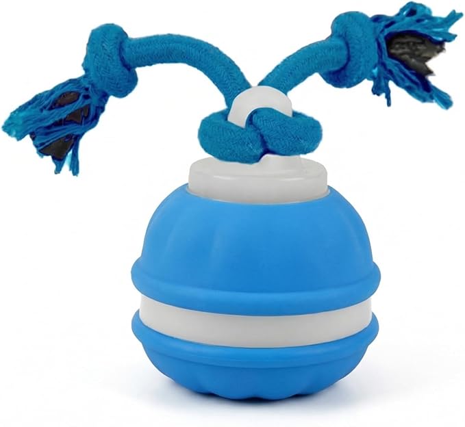 Winb Interactive LED Dog Ball （4 inch）- USB Rechargeable Motion-Activated Rolling Toy for Small to Large Dogs, Dogs Ball Play and Wicked Fun, Squeaky Sound & Stimulation, Blue