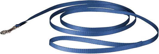 PetSafe Nylon Dog Leash Strong, Durable, Traditional Style Lead with Easy to Use Bolt Snap for Small, Medium and Large Dogs 3/8" x 6', Royal Blue