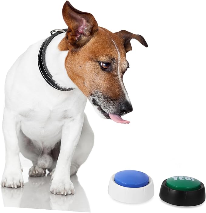 BESPORTBLE 4pcs Dog Talking Button Pet Communication Buttons Wear-Resistant Recording for Puppies Random Color