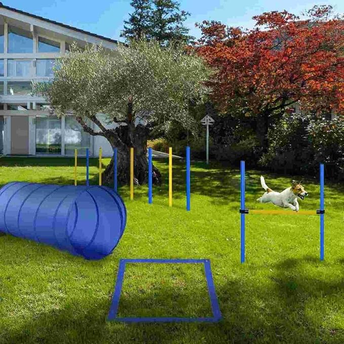 Dog Agility Training Kit with Obstacles, Tunnel, Dog House and Crate, White