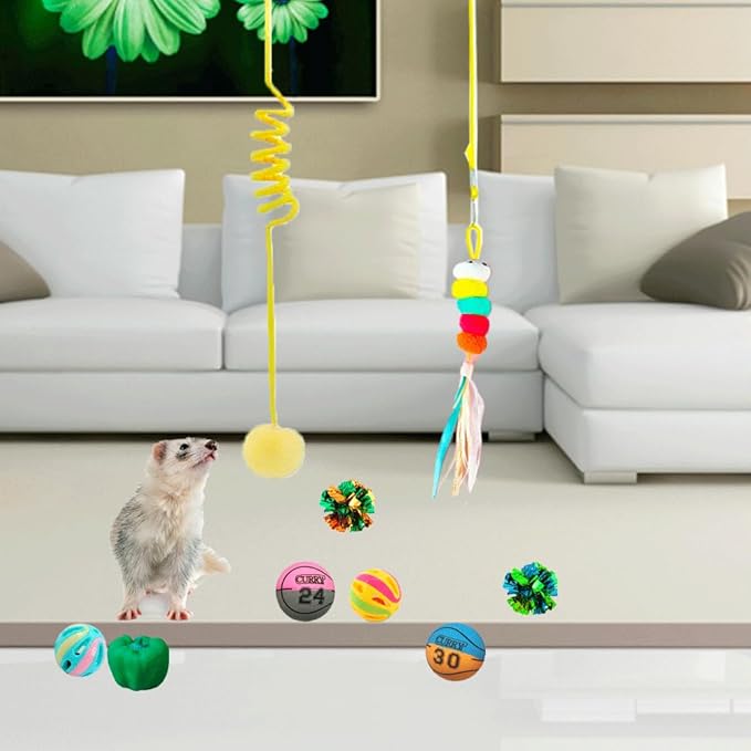 15pcs Ferret Squeaky Toys Set Rubber Balls Ferret Teeth Grinding Chewing Balls Teething Bouncy Bell Ball Interactive Sound Squeaker Toy Exercise Scratch Chew Toy for Ferrets Pet Cat Dog Small Animals