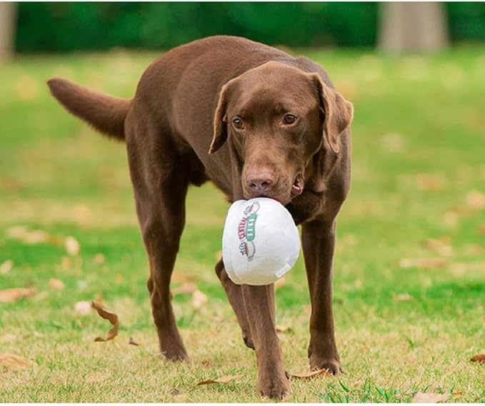 Plush Dog Chew Toys Enrichment Toys for Aggressive Chewers Interactive Burrow Activity Cute Dog Gifts Funny Toy Bundle for Small Medium Large Dogs (Mug)
