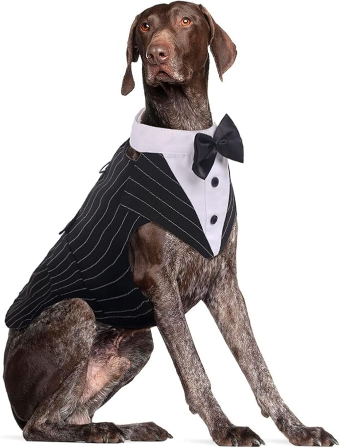 DORA BRIDAL Dog Tuxedo for Large Dogs, Dog Suit and Bowtie, Formal Dogs Wedding Outfit, Pet Tuxedo and Bandana Set Valentines Birthday Christmas Party Costumes for Labrador, Golden Retriever, Black,L