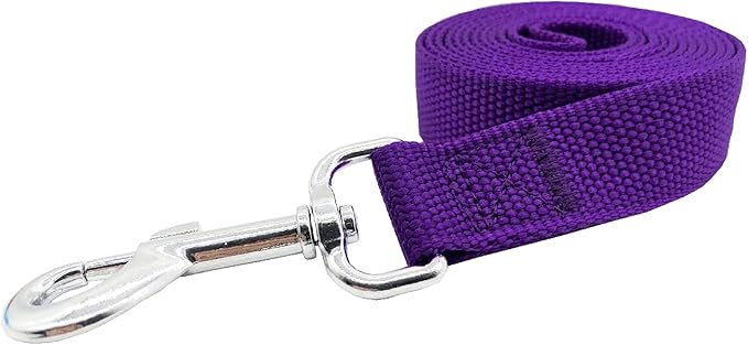 Nylon Dog Training Leash, Traction Rope, 4Ft /5 Foot /6 Feet Long, 5/8 inch 3/4 Inch 1 Inch Wide, for Small and Medium Dogs