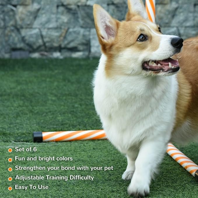 anwickjeff 6 Piece Dog Agility Training Equipment with Hurdle Bag and Whistle,Obstacle Course for Dogs Agility Hurdles Backyard Exercise Competitive (Orange, 6 Piece)